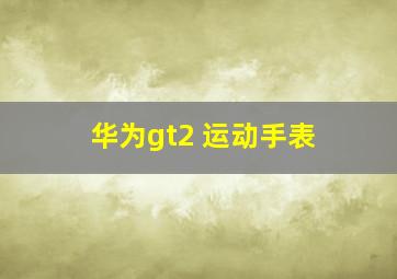 华为gt2 运动手表